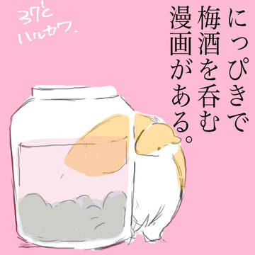 にっぴきで梅酒を呑む話