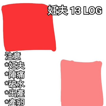 妊夫 13 LOG