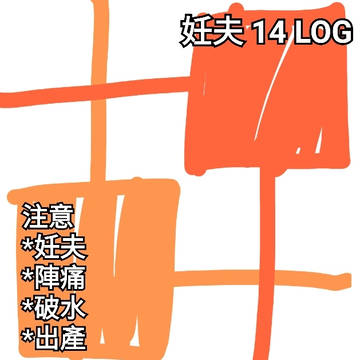 妊夫 14 LOG