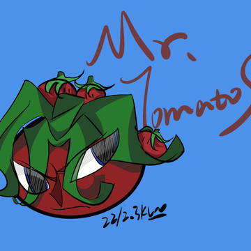 Mr.TomatoS