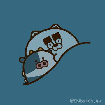怖いものを見た日の夜。