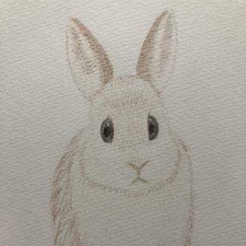 うさぎ