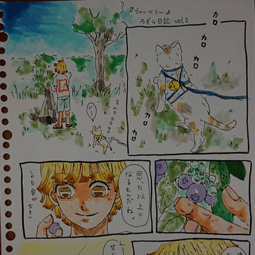 うずらカフェ 夏の１日