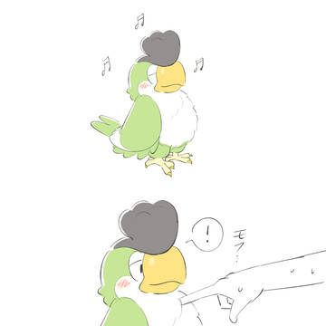 イキリンコかわいい〜〜〜〜〜〜〜〜〜〜〜〜〜〜