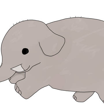ぞう