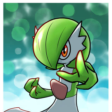 キミに決めた