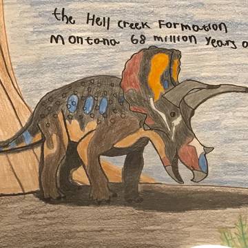 Triceratops horridus
