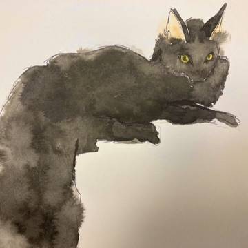 猫