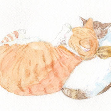 水彩画で仲良し猫