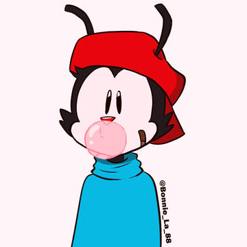 Wakko!