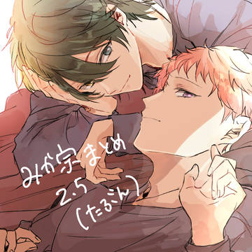 みか宗2.5