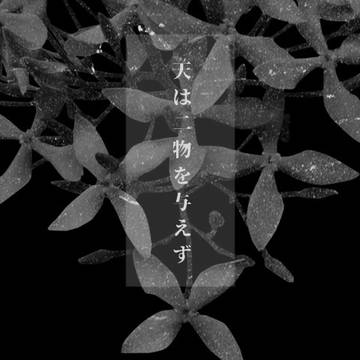 天は二物を与えずオリ主イメージ画像