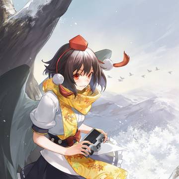 文