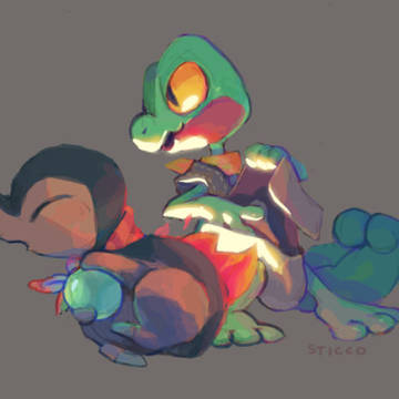 Treecko and Cyndaquil PMD