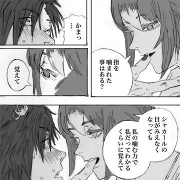 シャカファイ(チェンマパロ)