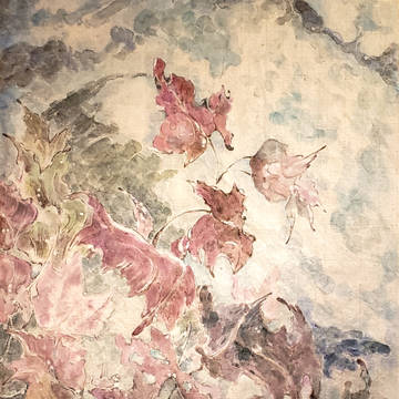 Maple Leaves
