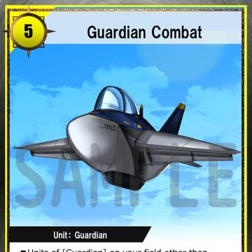 Guardian Combat