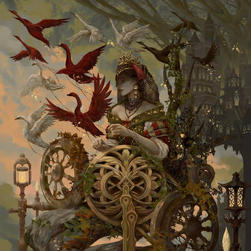 11Swans