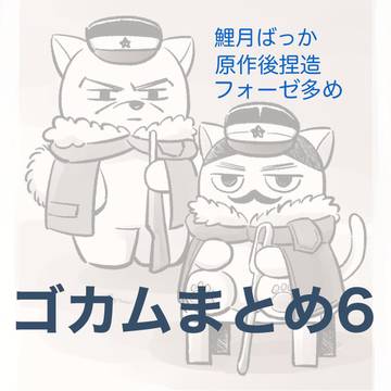 ゴカムまとめ6