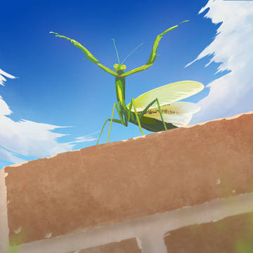 登頂