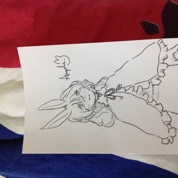 兔兔子