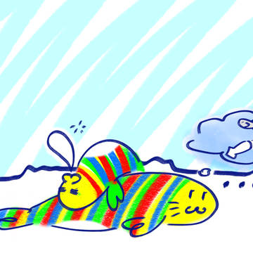 Hungry seal and sleeping seal