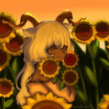 Sunflowers