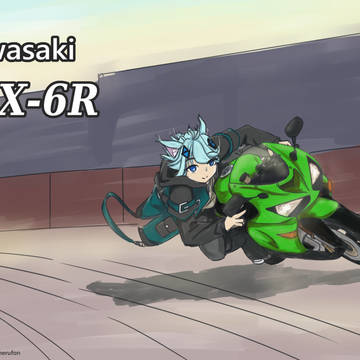 ほしかったばいく