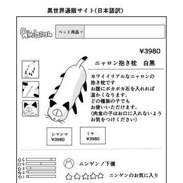 Page 13 thumbnail