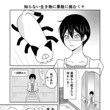 Page 9 thumbnail