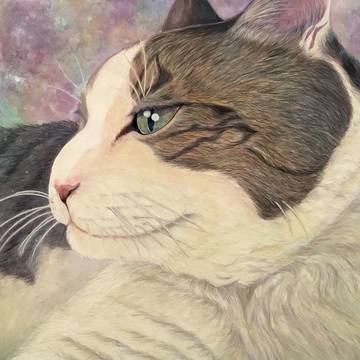 やさしいひと