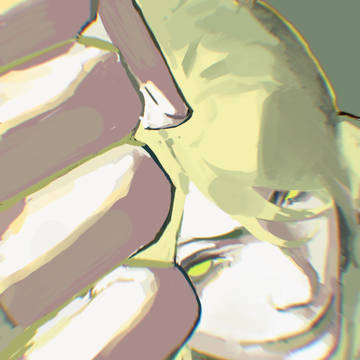 バルバリシア