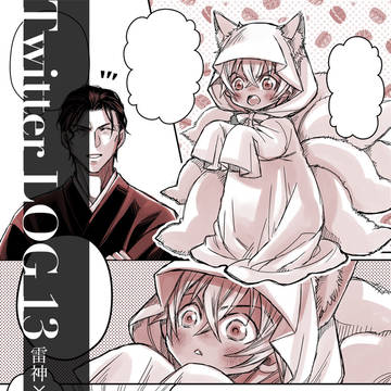 赤安 LOG 13
