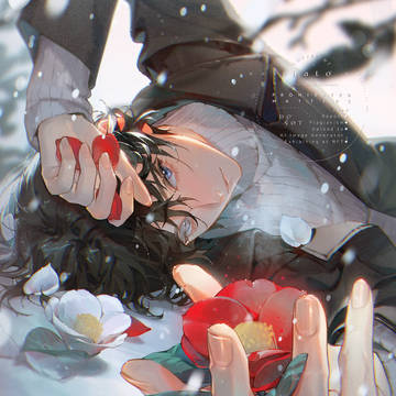 寒椿