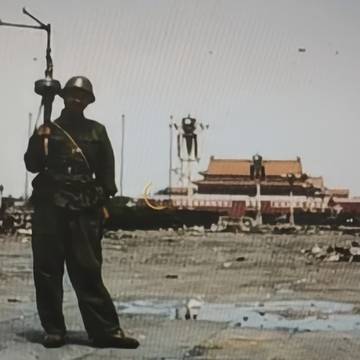 旗帜鲜明