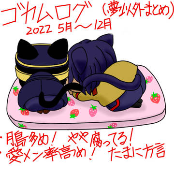ゴカムログ(2022/05～12月)