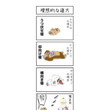 理想的な寝方