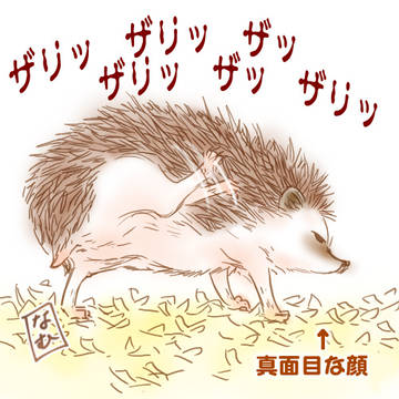 わりと美脚