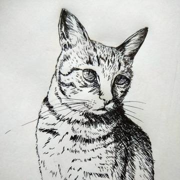 うちの猫３