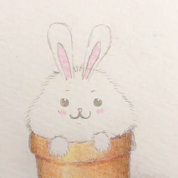 ウサギ。