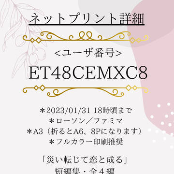 【期間延長】【金恋２】ネップリ詳細説明