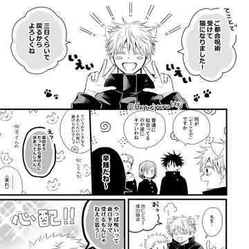 先生に猫耳が生える話
