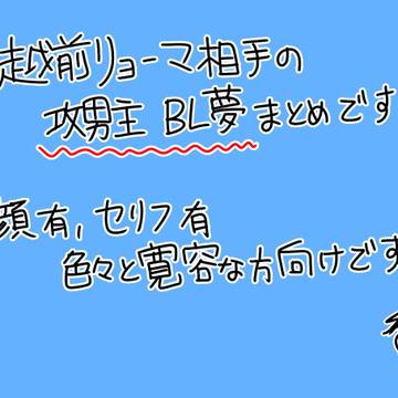 越前BL夢log①