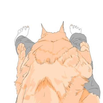 背中