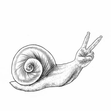 最近のまとめ