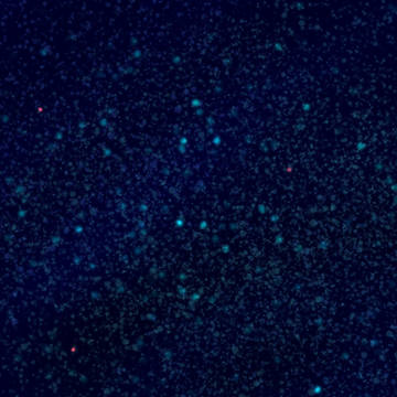 星々
