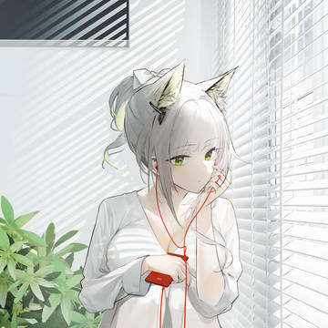 凯猫猫 窗