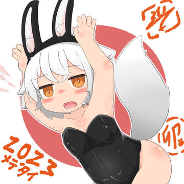 うちの子バニー