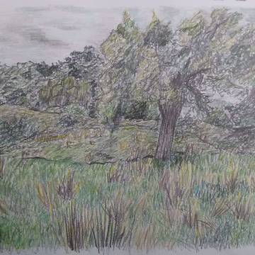 Greenery