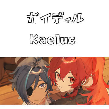 ガイディルまとめ